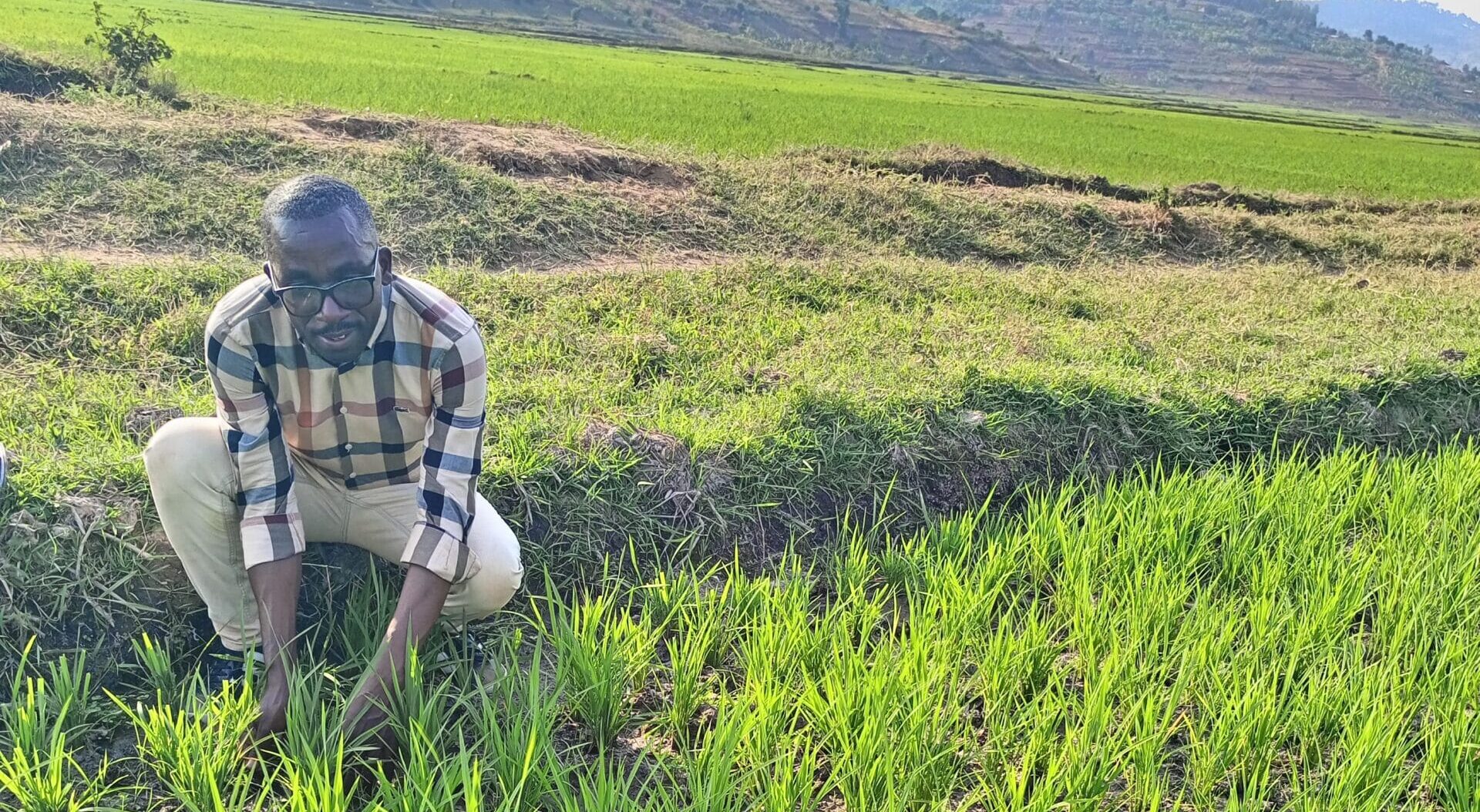 Agriculture Project